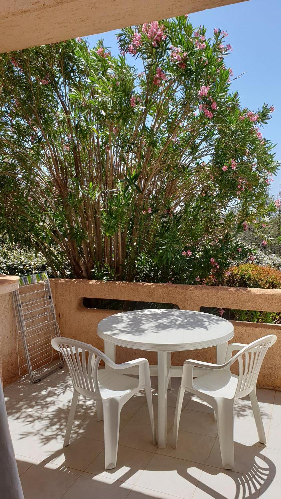 Residence Liccia Di Furu Porto-Vecchio  Rum bild