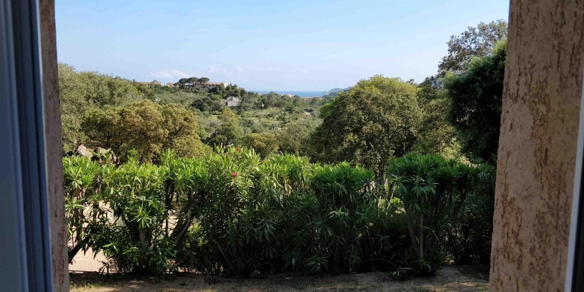 Residence Liccia Di Furu Porto-Vecchio  Rum bild